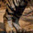 Предпросмотр схемы вышивки «Тигры» (№810756)