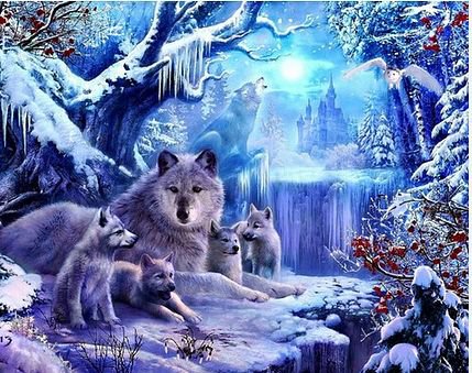 Волки - волки, животные, лес - оригинал