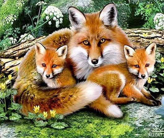 Лисья семейка - лисята, лисица, животные - оригинал