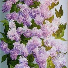 FLORES-LILAS