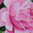 Предпросмотр схемы вышивки «FLORES-rosas» (№810920)
