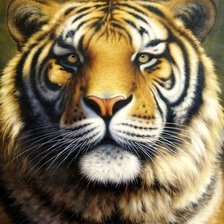 Схема вышивки «№810931»