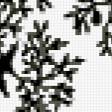 Предпросмотр схемы вышивки «Монохром» (№811344)