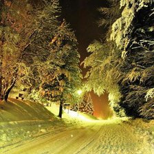 Схема вышивки «зимняя дорога»