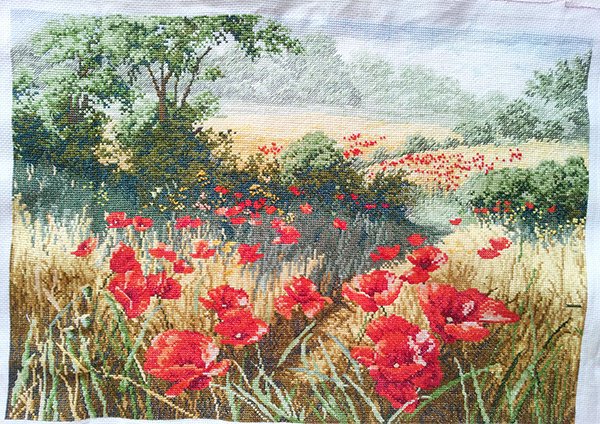 маки - цветы - оригинал