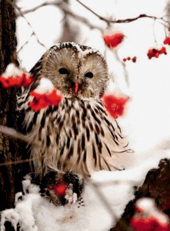 совушка - предпросмотр