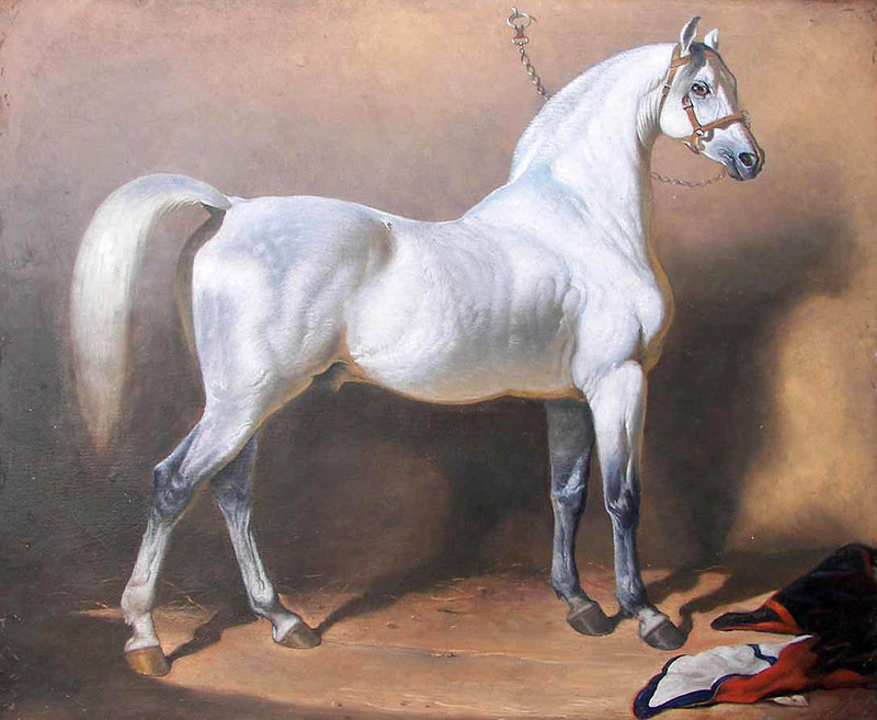 лошадка - оригинал