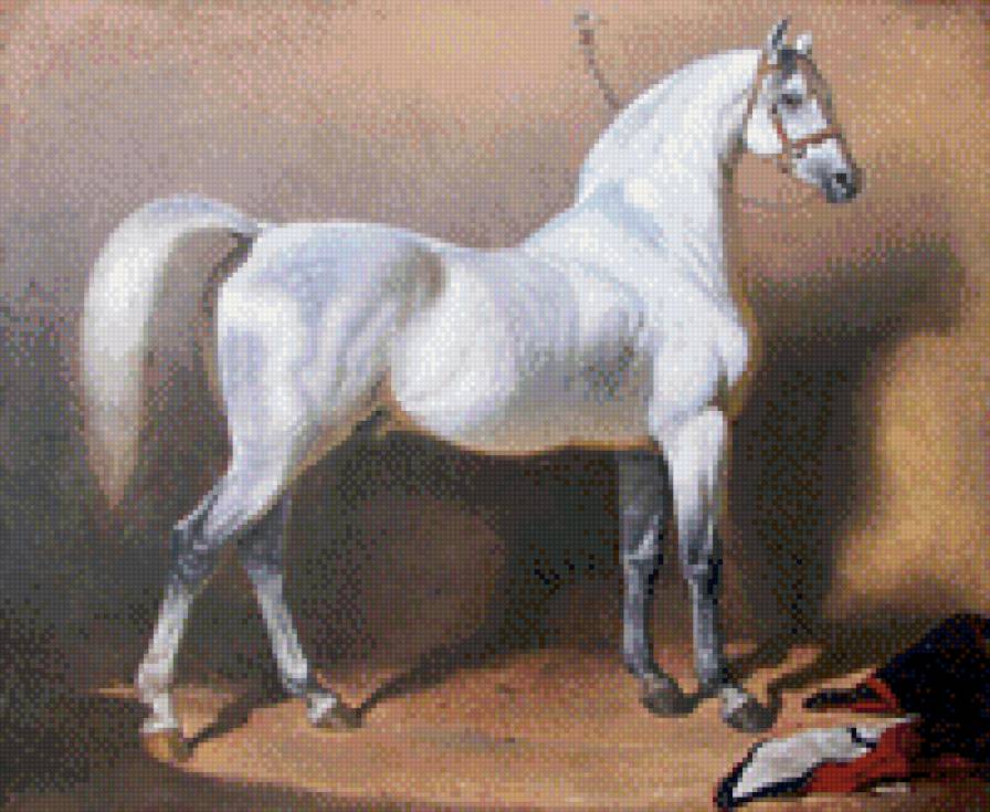 лошадка - предпросмотр