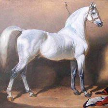 Схема вышивки «лошадка»