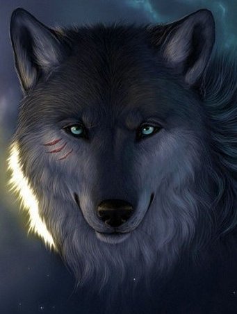 волк - оригинал