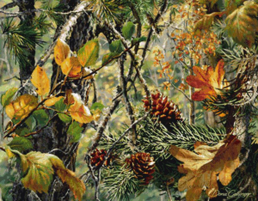 в сосновом лесу - лес, природа - предпросмотр