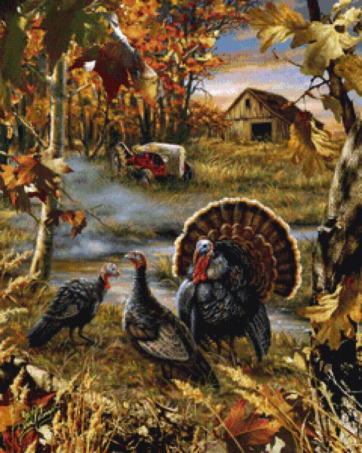птичий двор - индюки, птицы - предпросмотр