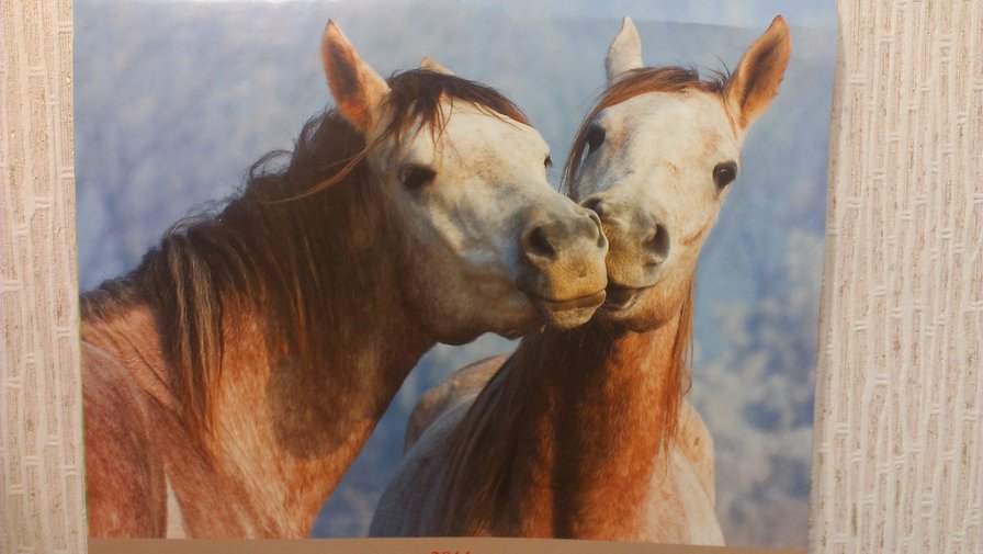 целующиеся лошадки - оригинал