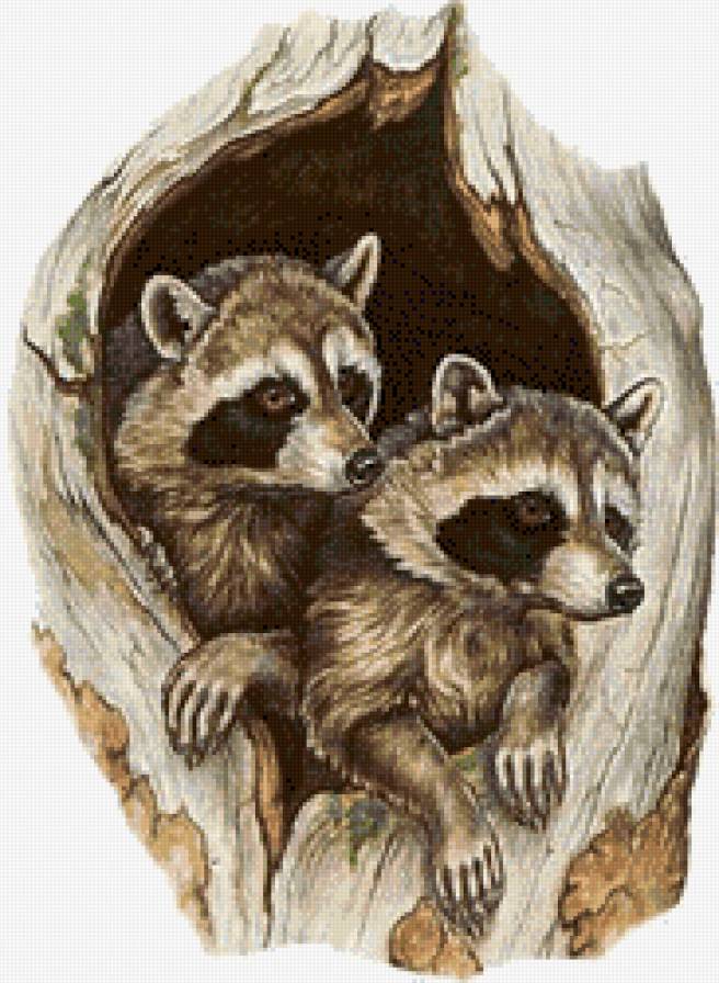 №813157 - предпросмотр