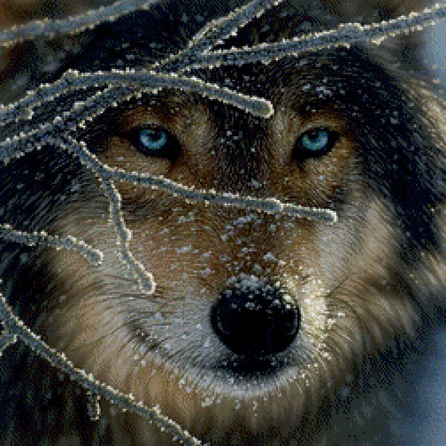 Подушка волк зимой - подушка, волк - предпросмотр