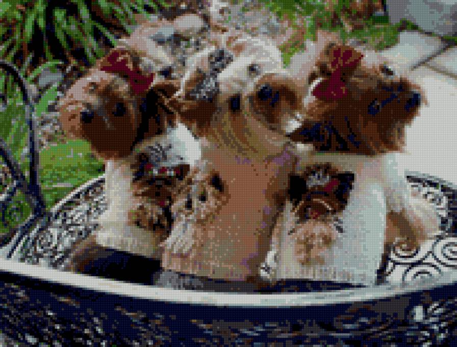 №813200 - предпросмотр