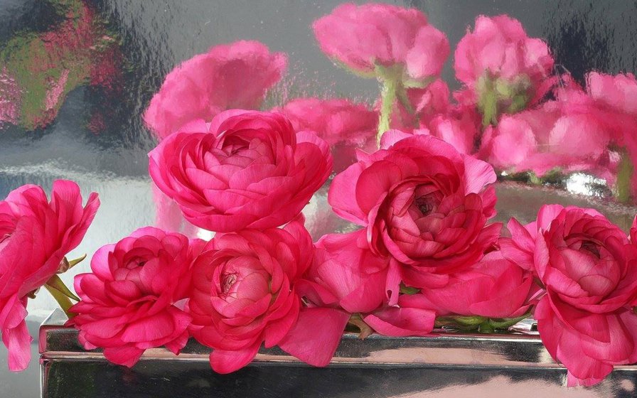 №813205 - оригинал