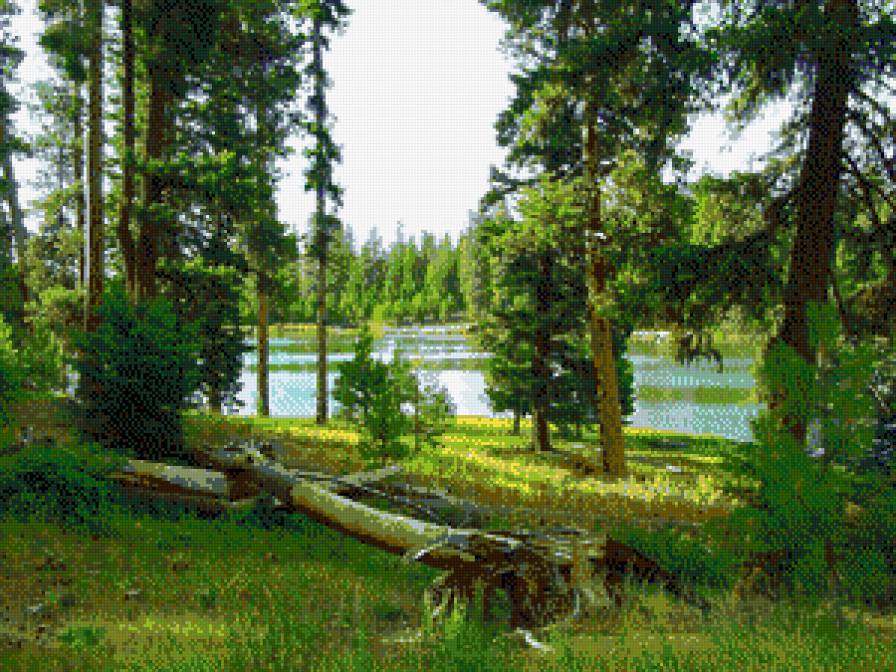 №813221 - предпросмотр