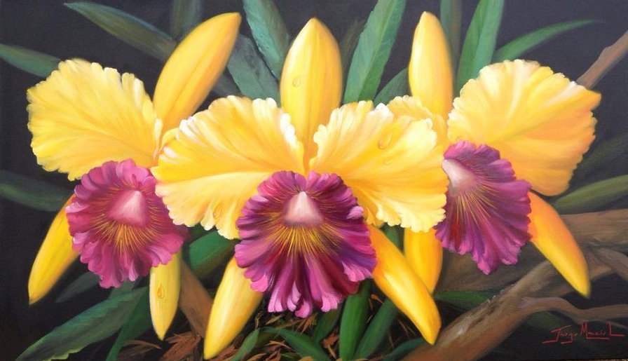 №813229 - оригинал