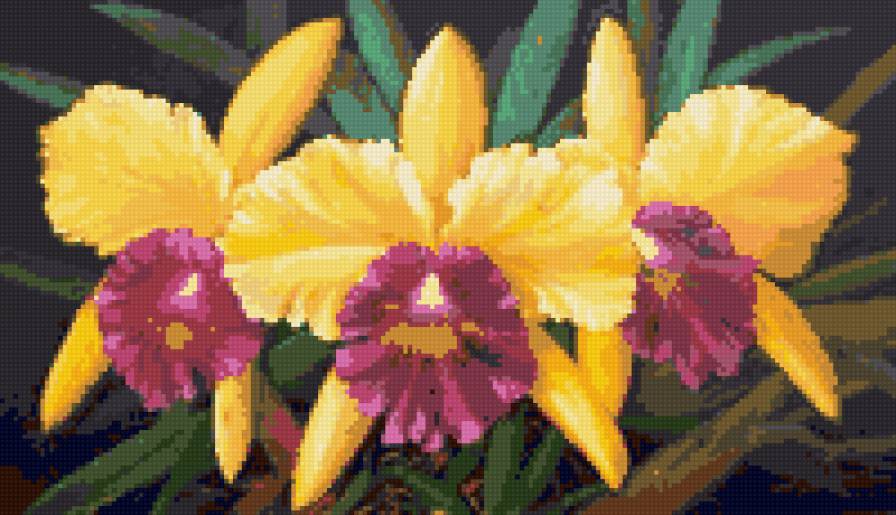 №813229 - предпросмотр