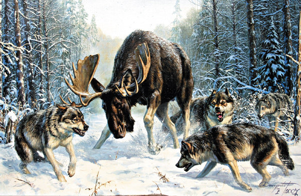 Охота - волки - оригинал