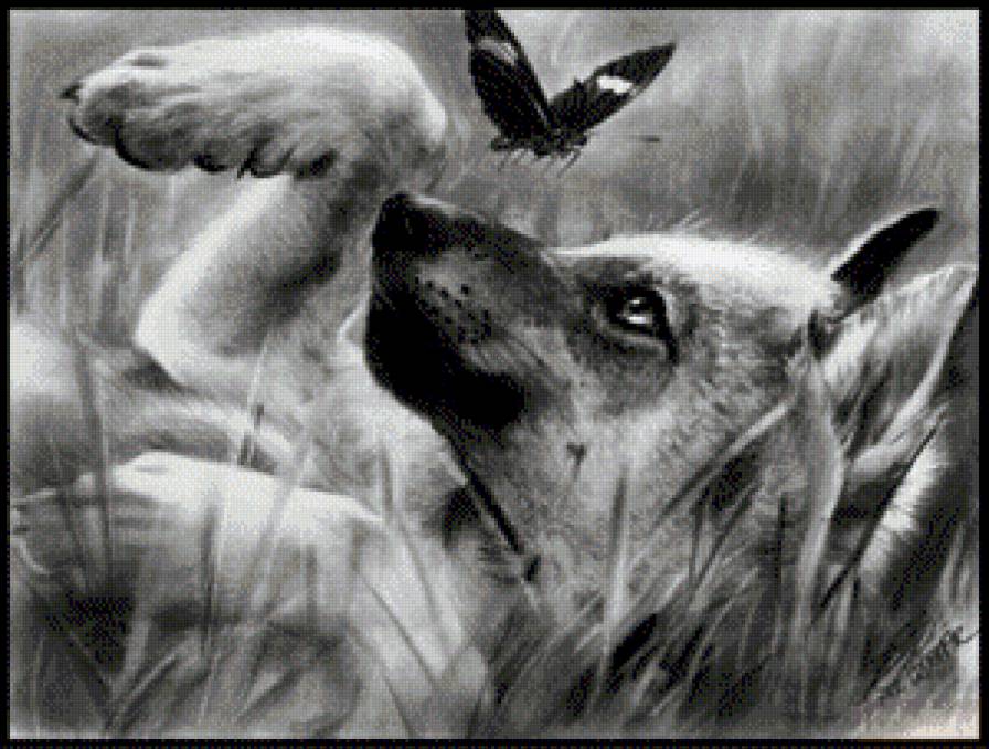 Волченок - волк - предпросмотр