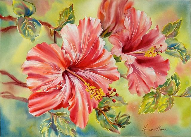 Гибискус - вышивка крестиком, цветы - оригинал