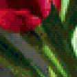 Предпросмотр схемы вышивки «тюльпаны» (№813918)