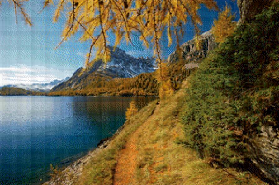 Лиственница - озеро, природа - предпросмотр