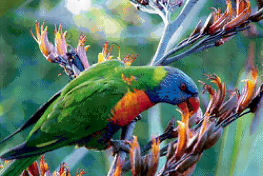 попугай - птицы - предпросмотр