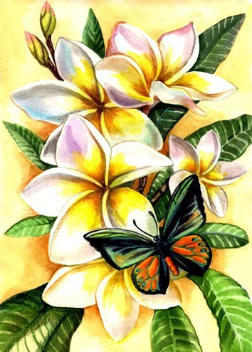 Бабочка на цветах - цветы, бабочка - оригинал