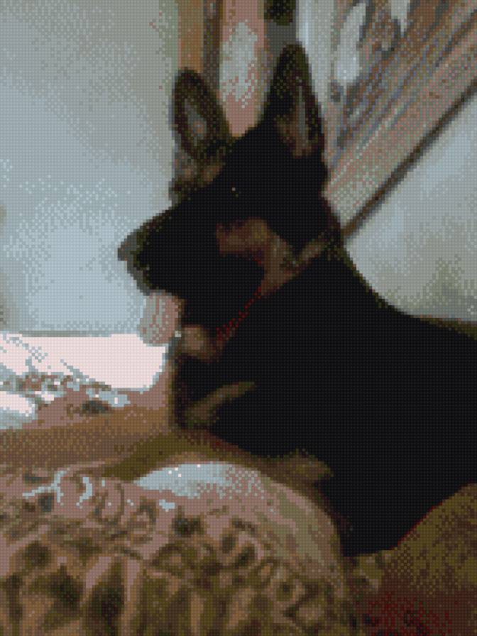 Овчарка - предпросмотр