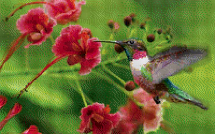 птицы - предпросмотр