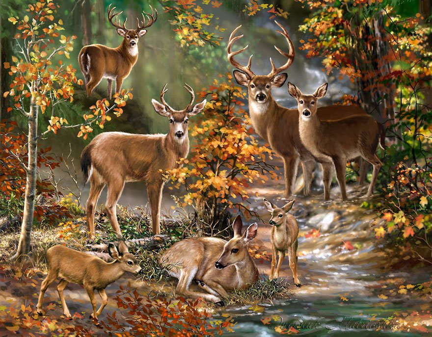 оленья семья - природа, олени, животные - оригинал