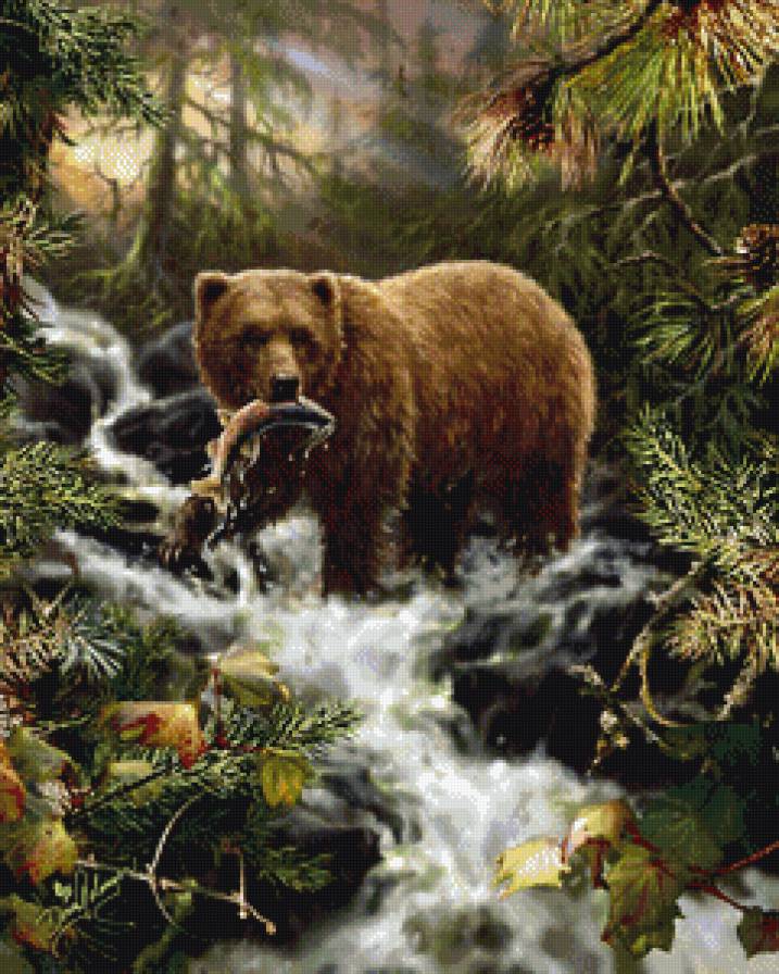 рыболов - природа, животные, медведь - предпросмотр