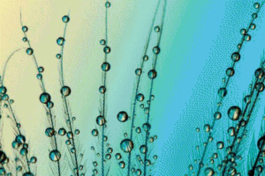 Роса - роса, картина, вода - предпросмотр