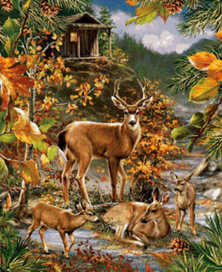 семейство - животные, олени - предпросмотр