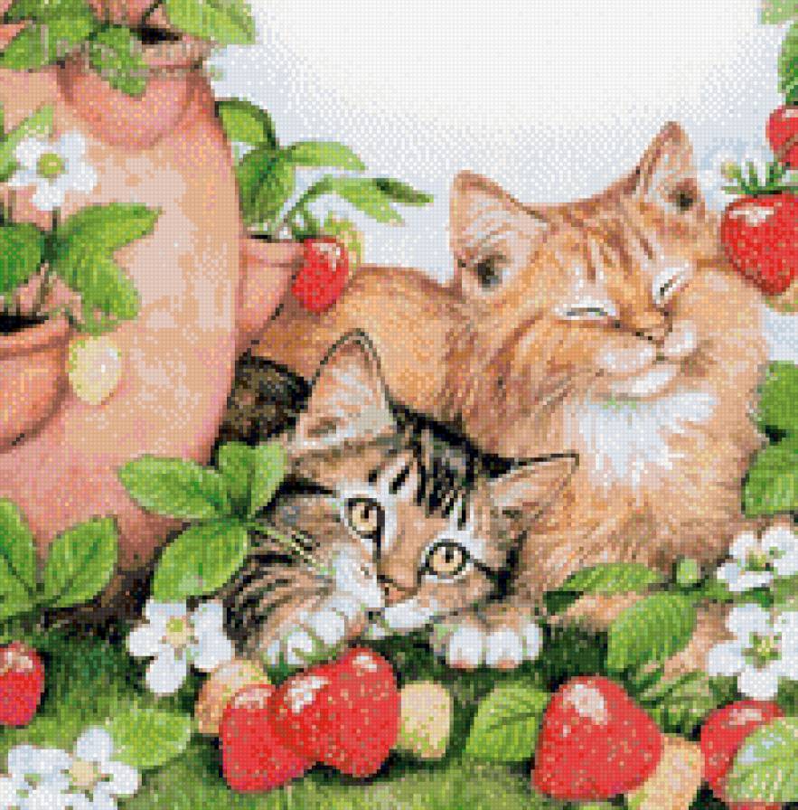 кошки - кошка, земляника - предпросмотр