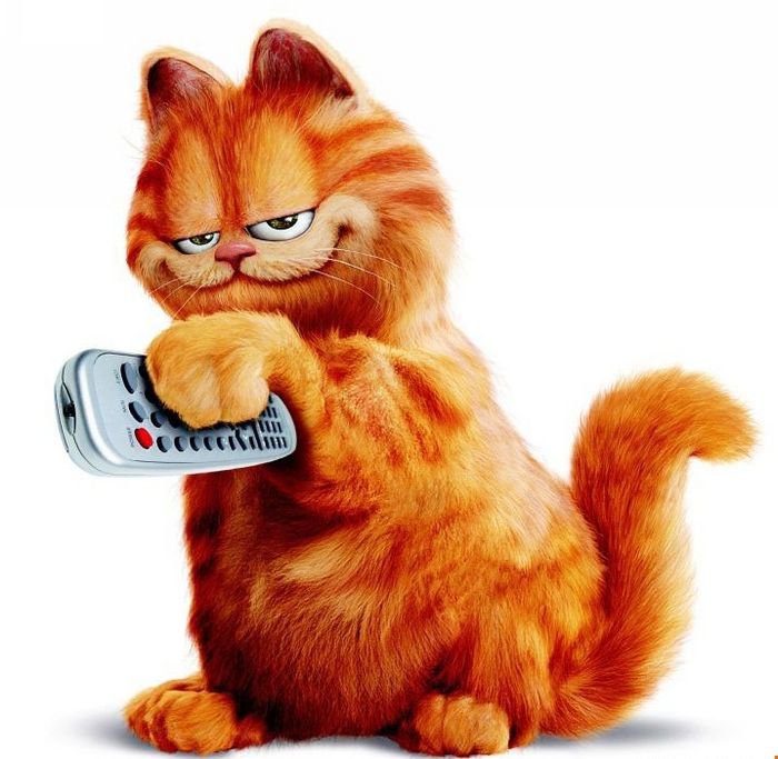 Гарфилд - коты - оригинал