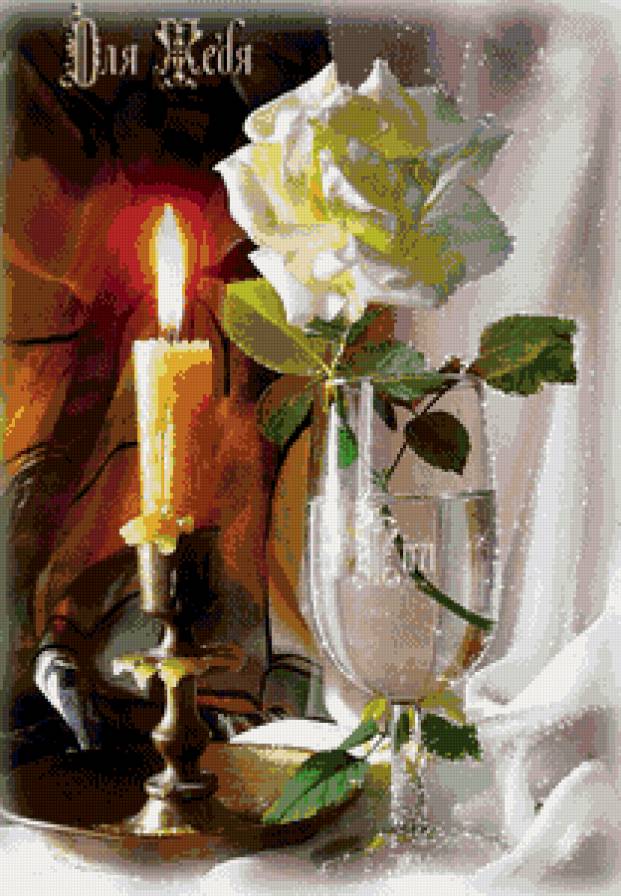 белая роза - роза, цветы - предпросмотр