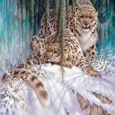 Схема вышивки «в диких условиях»