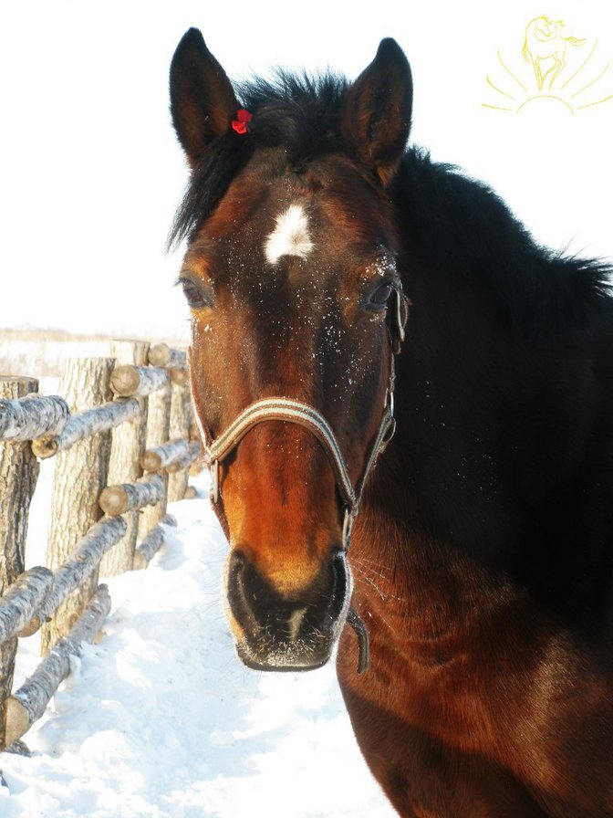 Лада - оригинал