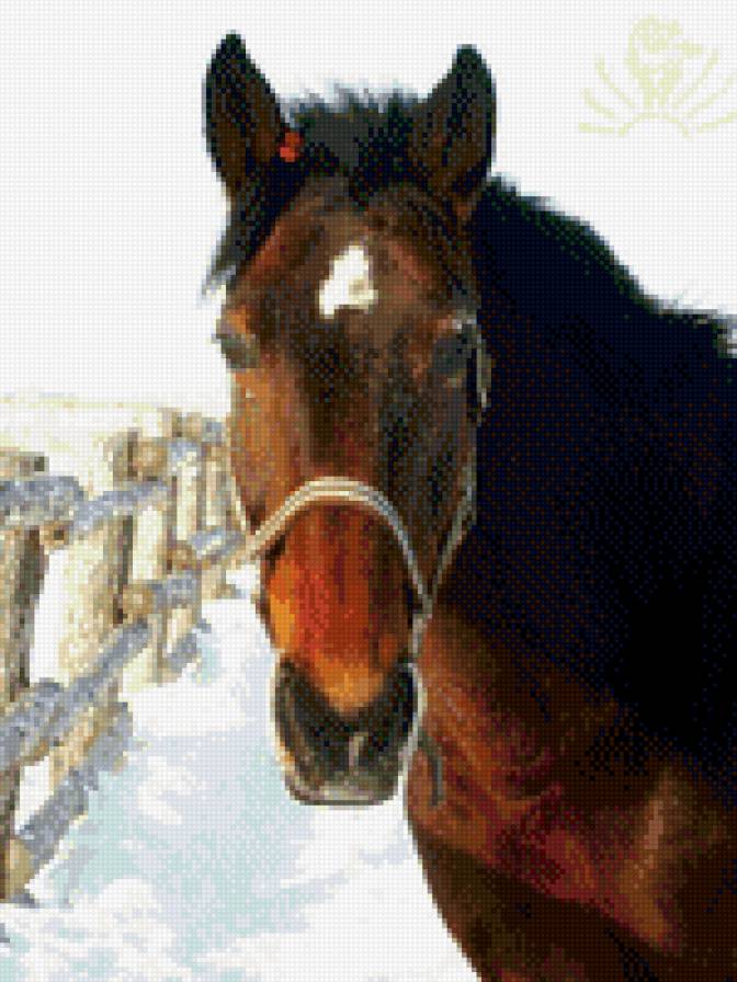 Лада - предпросмотр