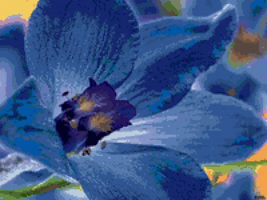 орхидея - цветок, орхидея - предпросмотр