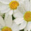 Предпросмотр схемы вышивки «ромашковый букет» (№815478)