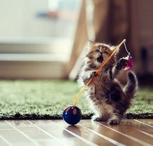 Схема вышивки «Собираясь на рыбалку»