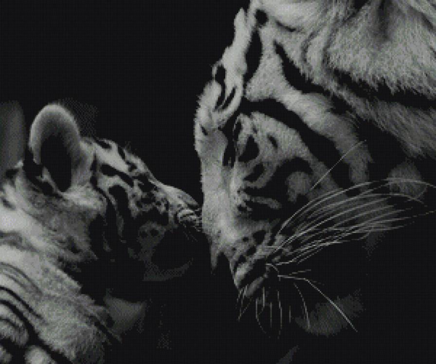 тигр с тигреноком - черно-белый, хищник, тигренок, дикие кошки, тигр, дикий - предпросмотр