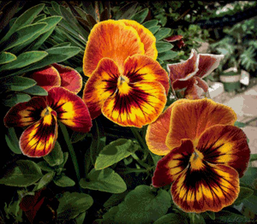 №816001 - предпросмотр