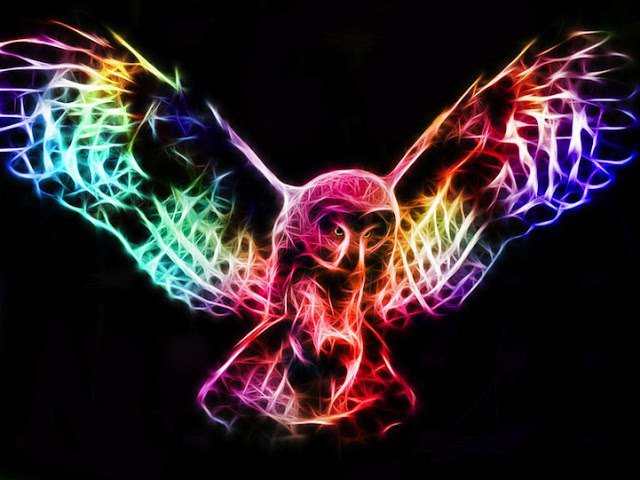 неоновая сова - сова, мудрость, графика, птица, арт, неон - оригинал