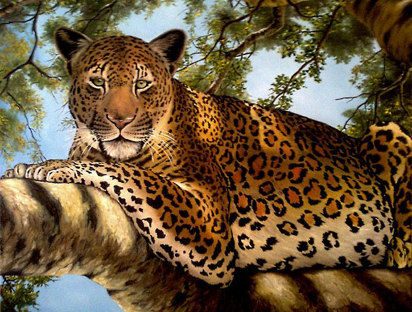 0203 - природа, красота, животные, кошка, кошки, картина, леопард - оригинал